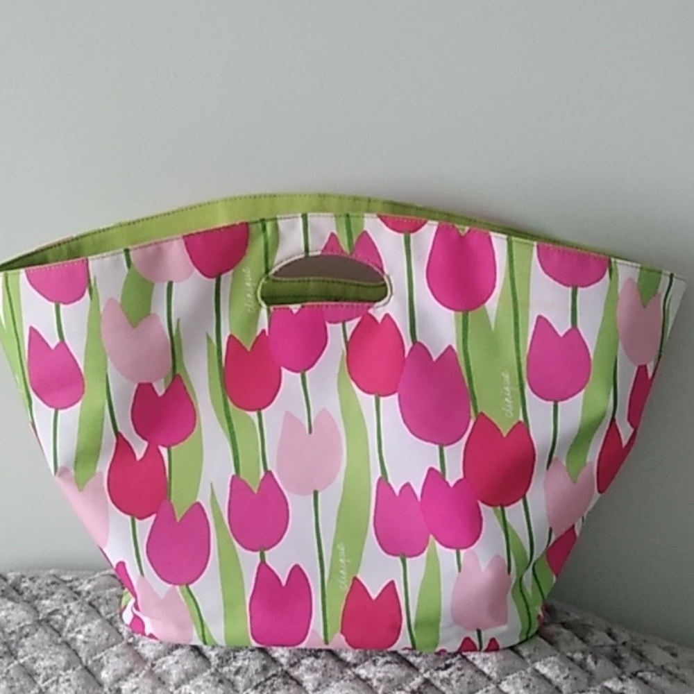 New Clinique picnic bag.